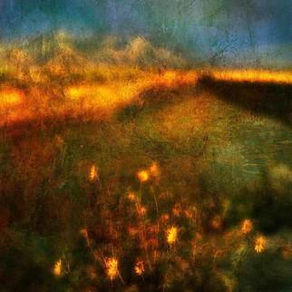 Michael Regnier; Flowers By The River, 2010, Original Photography Color, 20 x 20 inches. Artwork description: 241  landscape, flowers, sunset      ...