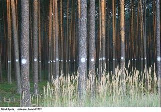 Mikael Hansen; Blind Spots, 2012, Original Installation Outdoor, 300.2 x 2 m. Artwork description: 241  Spray on Pine Woods ...