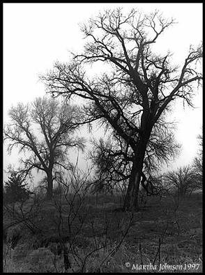Martha Johnson; Foggy Morning, 1992, Original Photography Black and White, 14 x 11 inches. 