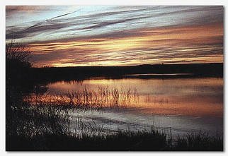 Martha Johnson; Magic Valley Sunset, 1994, Original Photography Color, 14 x 11 inches. Artwork description: 241 The setting sun reflects fire- like colors off the calm waters of White Cat Cove on Harlan County Lake....