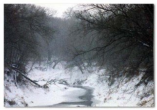 Martha Johnson; Wilderness Park Winter, 1998, Original Photography Color, 14 x 11 inches. Artwork description: 241 Cold mist hangs over Salt Creek in Wilderness Park, Lincoln, NE....