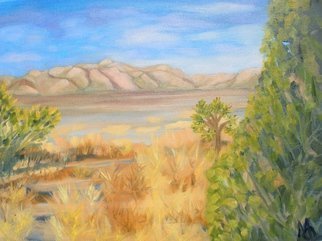 Marilia Lutz; Near Mojave , 2014, Original Painting Oil, 16 x 12 inches. 