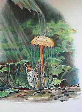 Susan Moore; Fairy Shower, 1997, Original Printmaking Giclee, 14 x 16 inches. Artwork description: 241 Coloured pencil drawing of a fairy having a shower under a mushroom. Much depth and contrast to make it appear real. Giclee prints of various sizes from 8 x 7 to 40 x 35 starting at $27. 00 US and up. Go to URL `````````````````````````````````` 