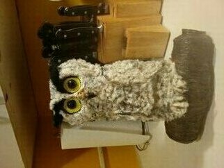 Alvin Eisom; Uhh Owl, 2021, Original Crafts, 6.2 x 18 inches. Artwork description: 241 Some hours make great pets.I like looking at them and get excited when they look at me. ...