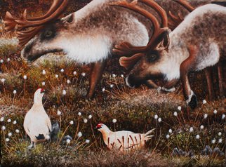 Mike Ross; Keep Your Distance, 2014, Original Painting Oil, 48 x 36 inches. Artwork description: 241  A group of caribou come upon a pair of rock ptarmigan who are holding their ground. Oil on canvas.Key Words:Caribou, bull caribou, reindeer, rock ptarmigan, ptarmigan, cotton grass,  reindeer moss, tundra, Alaska, Denali National Park, Denali, big game, oil paintings, oils, large oils, prints, rolled ...