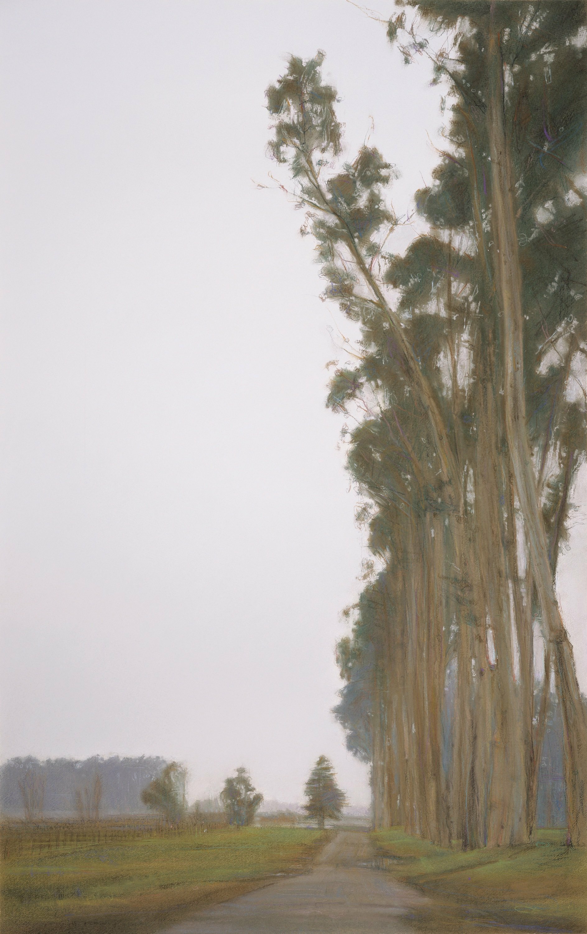 Steven Gordon; Stanly Lane, 2003, Original Giclee Reproduction, 19 x 31 inches. Artwork description: 241 This limited edition Giclee print is based on an original pastel painting is a view of a well known area in The Napa Valley.  The iconic long row of giant eucalyptus trees, on a road called Stanly Lane, sits majestically at the edge of the valley, bordering ...