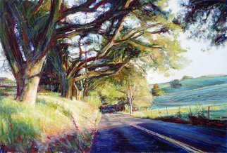 Steven Gordon; West Napa Afternoon, 2008, Original Giclee Reproduction, 26 x 16 inches. Artwork description: 241  Late Afternoon Napa Valley Wine Country ...