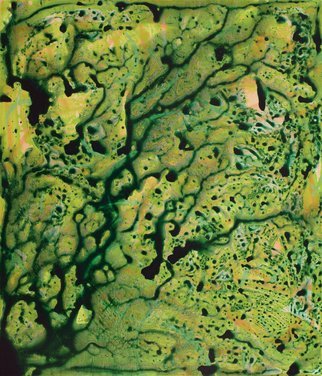 Marlene Struss; Lushlandia, 2017, Original Painting Acrylic, 24 x 28 inches. Artwork description: 241 Lushlandia is the result of experimenting with layers of acrylic paint and household chemicals, including alcohol.  The resulting patterns are reminiscent of an aerial view of a lush forest or a green desert. ...