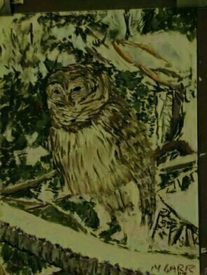 Michael Garr; Shakespeare The Barred Owl, 2014, Original Drawing Pastel, 11 x 14 inches. Artwork description: 241 This charming Own visits our backyard especially when its cold outside. ...