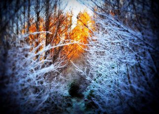 Maciej Wysocki; There Is Always Hope, 2018, Original Photography Color, 42 x 30 cm. Artwork description: 241 hope , winter , sun, Donegal , Ireland...
