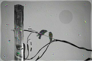 Nancy Bechtol, 'Birds On Digital   Wired', 2016, original Photography Other, 16 x 20  x 1 cm. Artwork description: 1911 Surreal, Landscape, Photopainting, experimentalnote, this is framed sizesizes vary, printed on metal and framed...