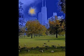 Nancy Bechtol, 'Geese Chicago Skyline Blue', 2008, original Photography Other, 11 x 14  x 1 cm. Artwork description: 5079  Geese with a blue Chicago skyline theme. photo colorized ...