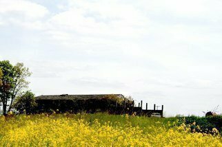Nancy Bechtol, 'Yellow Field Country', 2010, original Photography Other, 11 x 17  x 1 cm. Artwork description: 4683 Special Edition. signed. in 16x20 Frame. more info. intense people, vibrantMichigan farm in high end color late afternoon. Photography, color enhanced, manipulated. ...