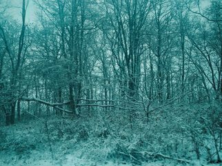 Nancy Bechtol, 'Blue Serene Winter', 2008, original Photography Other, 11 x 17  x 1 cm. Artwork description: 6267  blue serene winter photo altered winter scene ...