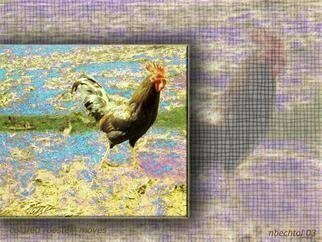 Nancy Bechtol, 'Rooster Textures', 2003, original Photography Other, 11 x 8  x 1 cm. Artwork description: 7059 rooster in the abstract...