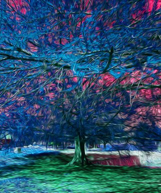 Nancy Wood; Blanco River Tree Blue, 2017, Original Digital Art, 20 x 24 inches. Artwork description: 241 Computer enhanced photo on aluminum panel...