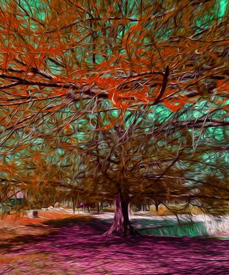 Nancy Wood; Blanco River Tree Fall, 2017, Original Digital Art, 20 x 24 inches. Artwork description: 241 Computer enhanced photo on aluminum panel...