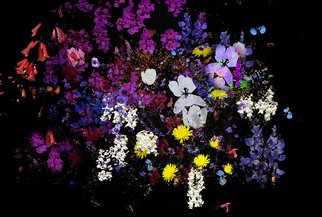 Nancy Wood; Evening Floral Dance 1, 2018, Original Digital Art, 20 x 16 inches. Artwork description: 241 Computer enhanced photo on aluminum panel...