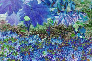 Nancy Wood; San Antonio Botanical Blue, 2017, Original Digital Art, 20 x 16 inches. Artwork description: 241 Computer enhanced photo on Aluminum panel...