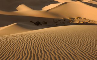 Dennis Chamberlain; Death Valley Sand Dunes, 2014, Original Photography Color, 16 x 10 inches. Artwork description: 241  Sand, dunes, desert, death valley, ripples, national park, California, golden,  ...
