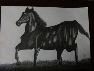 Nidhi Takur; Pencil Sketch, 2017, Original Drawing Pencil, 16 x 11 inches. Artwork description: 241 horse...