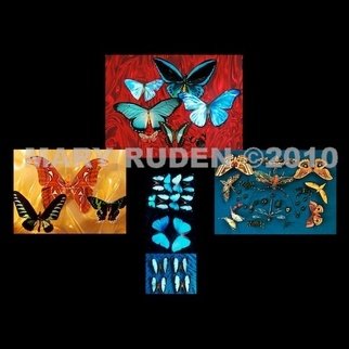 Mary Ruden; Bugs, 2010, Original Photography Color, 20 x 20 inches. Artwork description: 241    Photo of actual  butterflies. Photos can be made any size, on many types of surfaces: vinyl, papers, backlit film.   ...