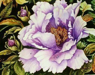 Pamela Van Laanen, 'Morning Dew', 2010, original Watercolor, 20 x 16  inches. Artwork description: 3891  Peony, floral ...