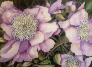 Pamela Van Laanen, 'Purple Peonies', 2014, original Watercolor, 38 x 30  x 1 inches. Artwork description: 2307  Dramatic. Original watercolor painting of a garden favorite. Painting is beautifully matted and framed and ready to hang.               ...