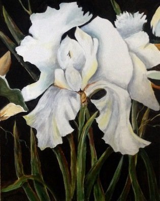 Pamela Van Laanen, 'White Iris', 2016, original Painting Acrylic, 16 x 20  x 1 inches. Artwork description: 1911  Originalboldly rendered, 20 x16 acrylic on canvas floralpainting. ...