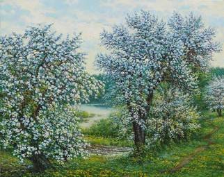 Petr Parkhimovitch; Belakvet, 2016, Original Painting Oil, 75 x 60 cm. Artwork description: 241 May.  Blooming gardens.  Apple and pear are covered with floral white.Oil on canvasThe artwork on the stretcher, without a frame, signed on the front and back side, has a Certificate of Authenticity, certified by expertise.Offer your price. ...