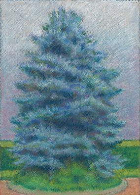 P. E. Creedon; Blue Spruce Alone, 2012, Original Pastel, 5 x 7 inches. Artwork description: 241   A realistic pastel of a Blue Spruce tree with green and blue tones, texture        ...