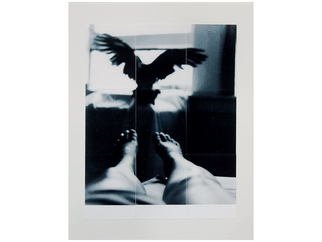 Marilyn Nosewicz; Bird  Window Room Figure ..., 2011, Original Photography Black and White, 32 x 26 inches. Artwork description: 241     Black and White Photograph of Bird Flying From figure to Window. Photographed with black and white film, film camera. Hand Printed in darkroom with chemicals. Silver Gelatin Photograph. Re- Printed, via tileing 9 tiles, mounted to Board. Hand signed on front of photograph. Email me for other ...