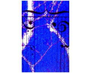 Marilyn Nosewicz; Blue Notes Musical Score ..., 2010, Original Photography Color, 5 x 7 inches. Artwork description: 241  Musical Notes. Photograph printed on musical paper, then printed on photographic paper. ...