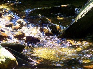 C. A. Hoffman, 'Dappled Rush', 2008, original Photography Color, 10 x 8  inches. Artwork description: 20919  Digitally enhanced photo of a clear mountain stream caught on a sunny afternoon. ...