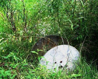 C. A. Hoffman, 'Used And Lonely', 2008, original Photography Color, 10 x 8  inches. Artwork description: 21315  A worn and discarded reel of old wiring, that lies out in a  field of wildflowers and berries, seems to cry out for someone to come and use it once again.  ...