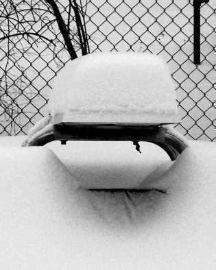 C. A. Hoffman, 'Winters Timeout', 2009, original Photography Black and White, 8 x 10  inches. 