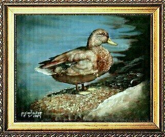 Michael Pickett, 'Duck', 2009, original Painting Acrylic, 14 x 11  inches. Artwork description: 3099   You can learn how to paint this painting yourself. Go to www. pickettonline. com and click on Enter, then click on the YouTube link. Thank You. ...