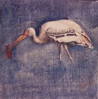 Prodip Kumar Sengupta; Painted Stork, 2009, Original Watercolor, 5 x 6 inches. Artwork description: 241 Bird Study . Water color on silk...