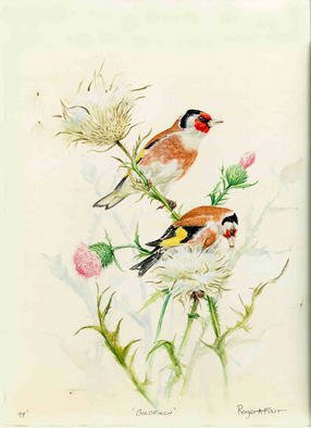 Roger Farr; Goldfinch , 1993, Original Watercolor, 12 x 14 inches. Artwork description: 241 A lot of field sketches and a final composition, of one of the most trapped british song birds and one of the most beautiful. Signed prints available at $80. 00...