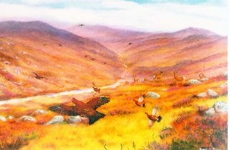 Roger Farr; Highland Wildlife, 2002, Original Painting Acrylic, 24 x 18 inches. Artwork description: 241 After a visit to the Scotish Highlands I was inspired to capture some of the wonderful landscape and wildlife that still flourish there. ...