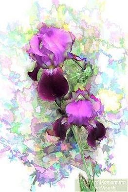 Richard Montemurro, 'IRIS', 2006, original Photography Other, 7 x 10  x 1 inches. Artwork description: 2307 A digital photograph manipulated to resemble a painting, drawing or sketch- - your choice....