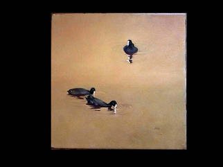 Rod Bax; Mandina, 2003, Original Painting Oil, 14 x 14 inches. Artwork description: 241 study of coots native to southern australia from a series of works using similar backgrounds that could be interpreted at as land or water. ...