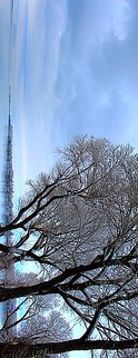 Ronnie Caplan; Branching Out, 2018, Original Photography Color, 8 x 3.9 inches. Artwork description: 241 Stopped off the highway between Ontario   Quebec border  yes, it s a very very extremely thin border  cold, lake, horizon, refelections, bare branches, tree limbs, blue, expansive sky, loneliness, quietness, melting snow, ice, Winter ...