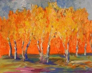 Roz Zinns, 'Birches', 2005, original Painting Acrylic, 20 x 16  x 1 inches. Artwork description: 3891 The warm glow of sunlight pouring through a grove of birches in the Autumn....