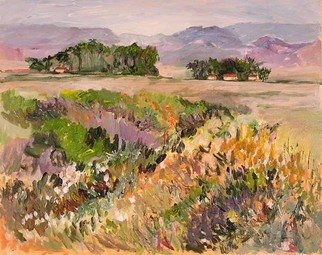 Roz Zinns, 'Midsummer', 2006, original Painting Acrylic, 20 x 16  x 1 inches. Artwork description: 3891  Summer in the wine country. ...