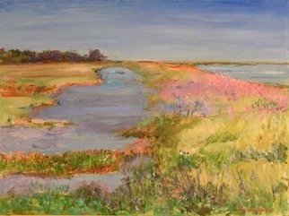 Roz Zinns, 'Migratory Path', 2007, original Painting Acrylic, 16 x 12  x 1 inches. Artwork description: 2307  Salt marshes where migratory birds stop to rest in their travels. ...