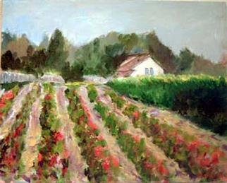 Roz Zinns, 'Pleasant Hill Farm', 2003, original Painting Acrylic, 20 x 16  x 1 inches. Artwork description: 4287 One of the few farms remaining in an urbanized area.  How wonderful to see an example of what once was all around us. ...