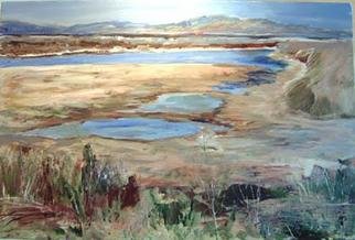 Roz Zinns, 'Wetlands', 2003, original Painting Acrylic, 36 x 24  x 1 inches. Artwork description: 3891 A peaceful rendition of San Francisco Bay wetlands in blues and browns.   ...