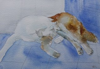 Ruzanna Hanesyan; Portrait Of A Dog, 2019, Original Watercolor, 10 x 7 inches. Artwork description: 241 Through the medium, I was exploring the movement of dog in space and time. The painting duration was based on the held position of the dog. ...