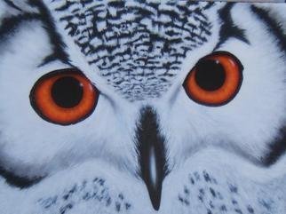 Mccullough Ryan; Wisdom, 2009, Original Painting Acrylic, 4 x 3 feet. Artwork description: 241  Owl eyes ...